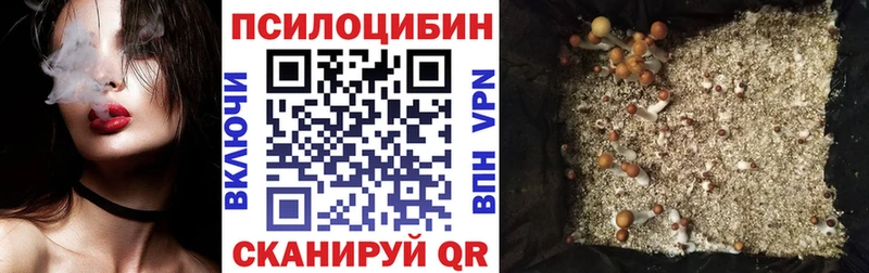 Псилоцибиновые грибы MAGIC MUSHROOMS  цена наркотик  Можайск 